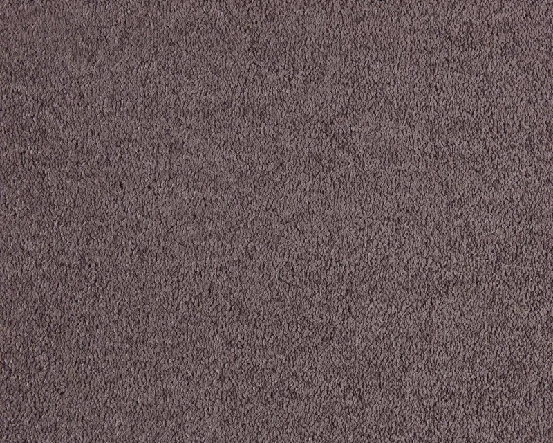 a3731a090e8c5edaf1dcc47a563f10fb