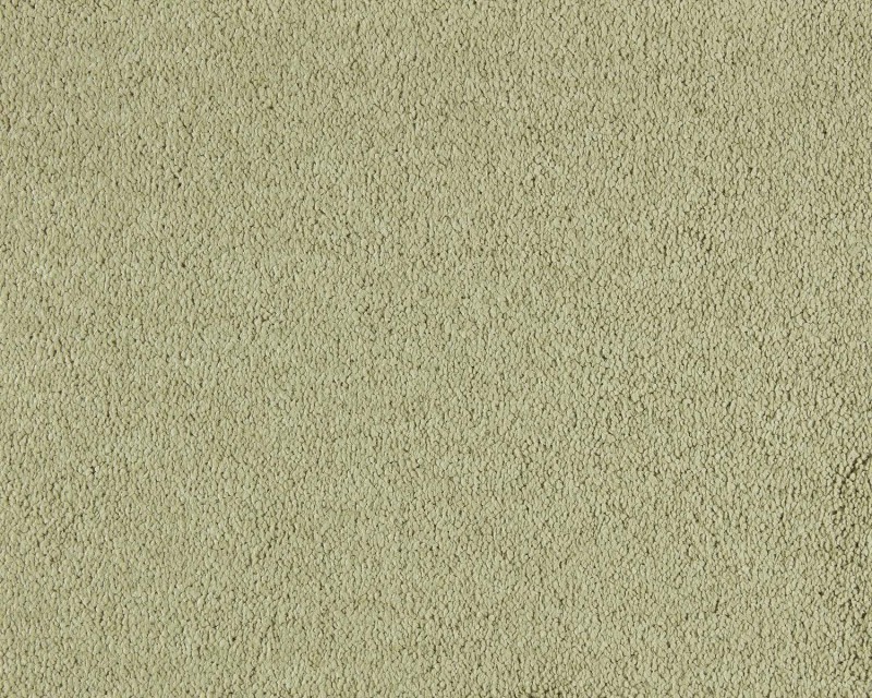 c4dd8cb49ab6a2de6260e59d773a5052