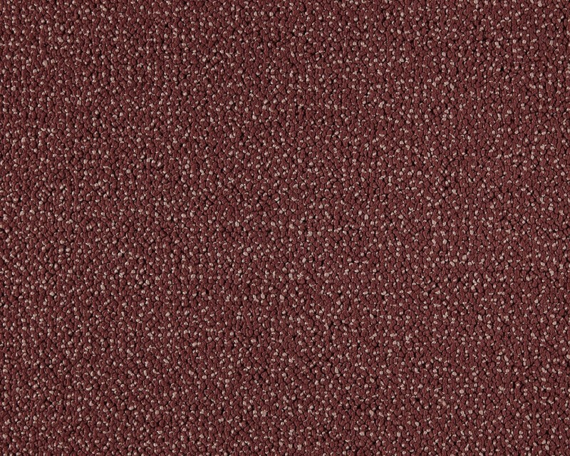 bd3cb83192286d286c1c3bf5d4e04f7e