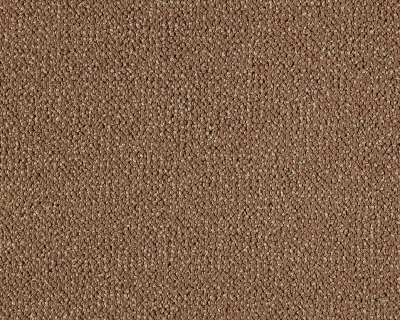 1c2e6f7f8154a84a073dbcd804479030
