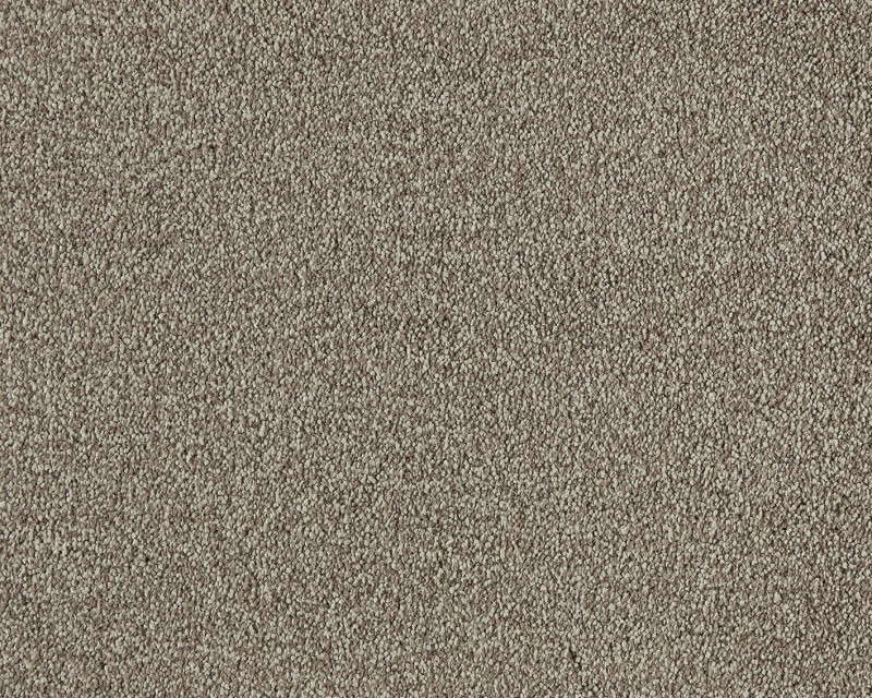 48901561cdc36931d3088ce4f30a1640
