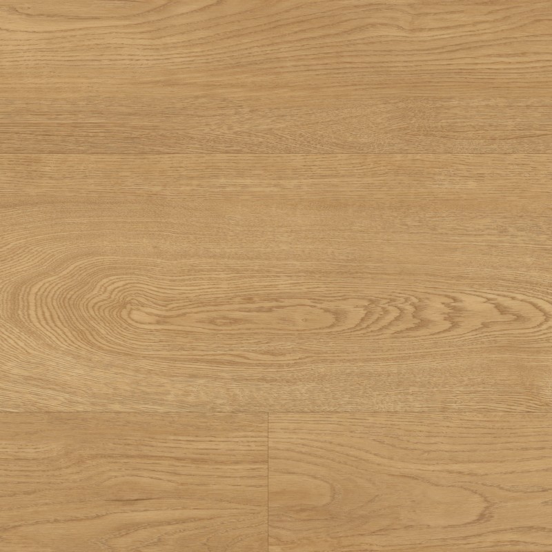 1330284ba69bb3a9e03a2f8e73ae22cd