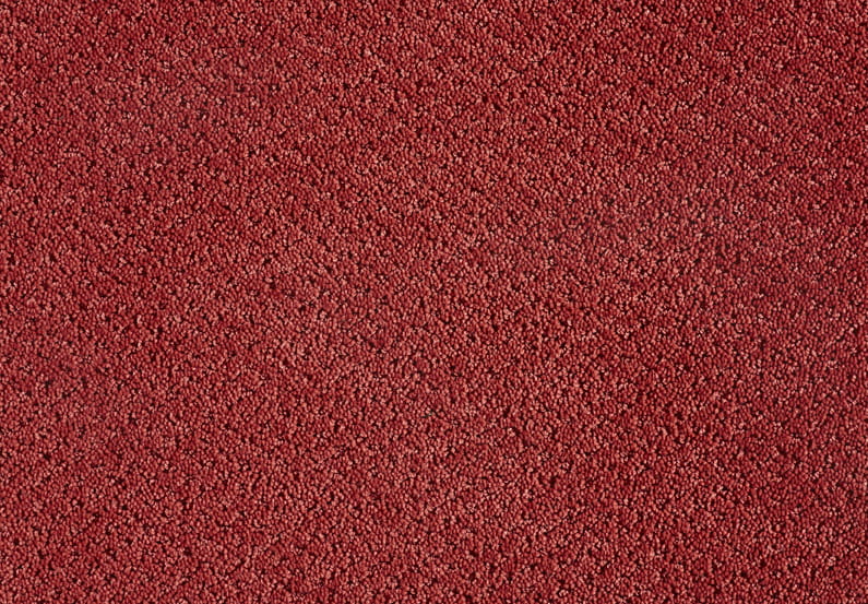 7bb9f460dff6102cb84d8010d08e53e5