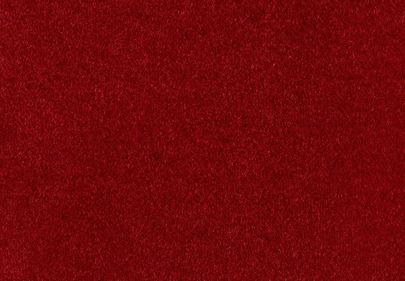 e95e78e1eb3a0ae5ea071da881babc7a
