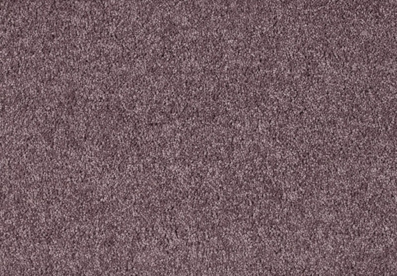 ed3f9708bfa368eedc631eb603c6b438