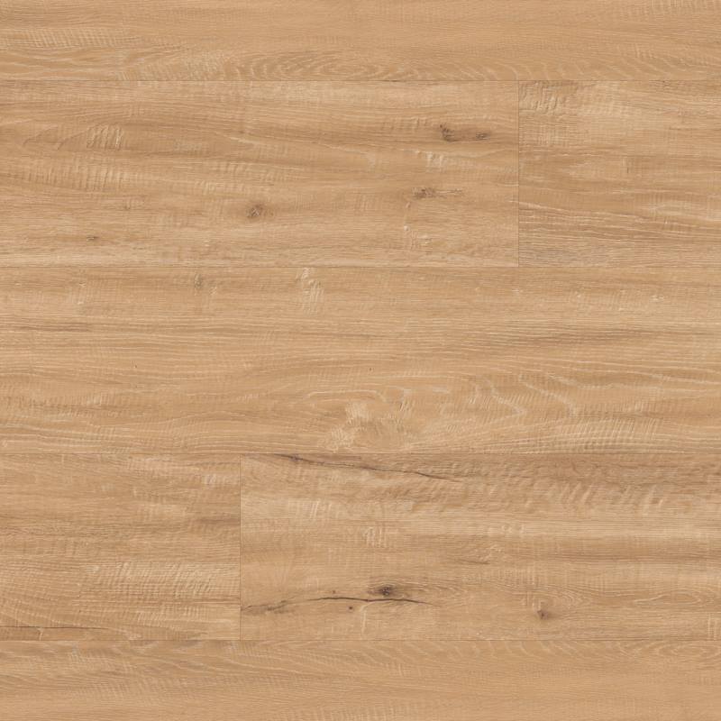 79e77d9af8728d21a0fe84d3d3c8d855