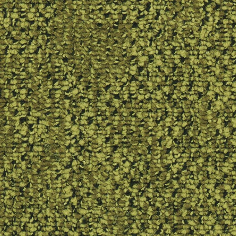 81e64d75e7dc558a782fb661af354640
