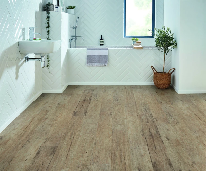 b3e9b91372c5759b0d875ab1443e5d41