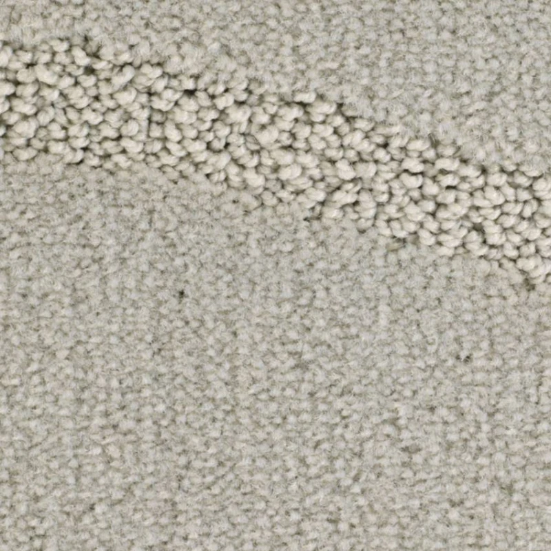 483e548a02c800fb22ce7b34e510a4b8