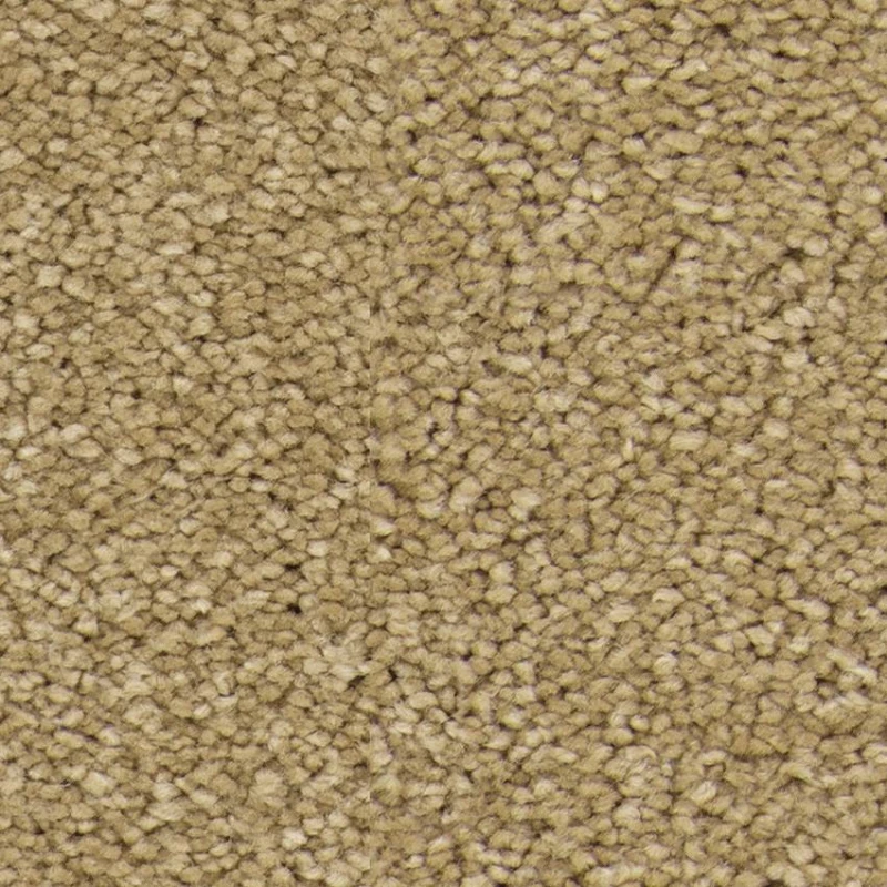 c3db0d2cccf11c822ffaf095ee2535c7