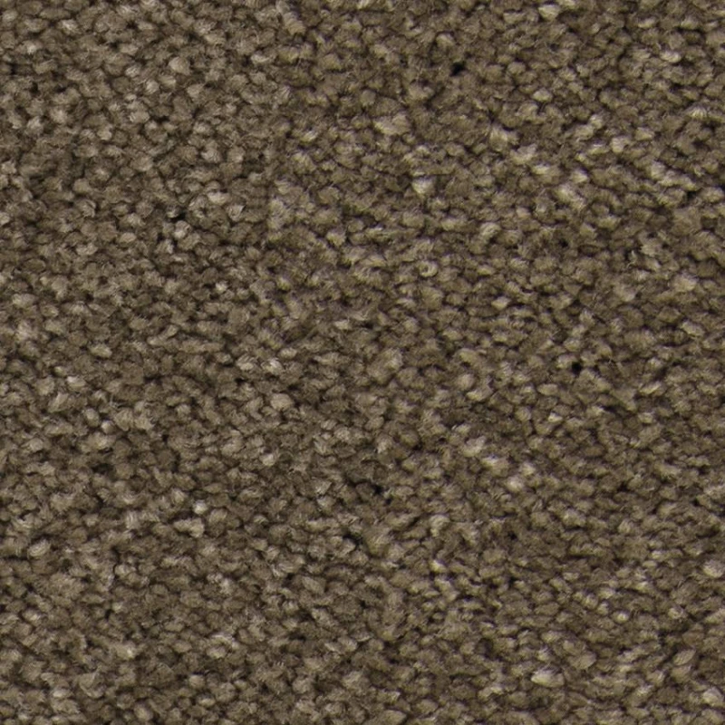 959f8a01aa7013fd401ff3573cdf0eb9