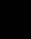 czarny 110.jpg