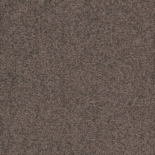 Wykładzina Balsan Excellence XI Bolero 770