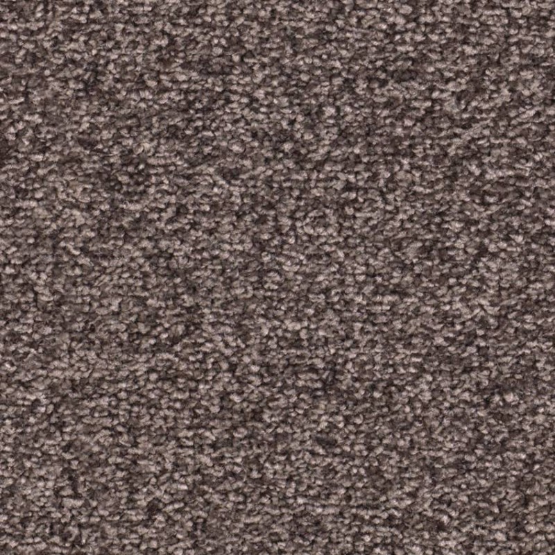 9121544e5532acde5cef52edcfc731b4