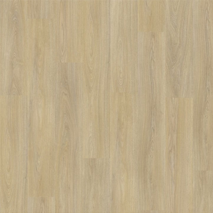 5909620b9191eb907ee0603d8b320575