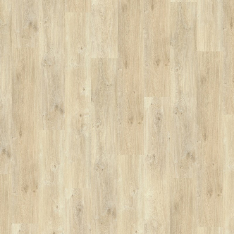 11ec0acbf6b645e1a1bb5a91214db10a