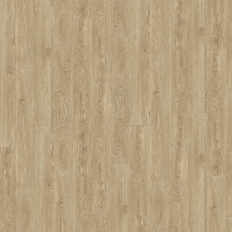 a5106198c925dc6bdf0bc03f98977241