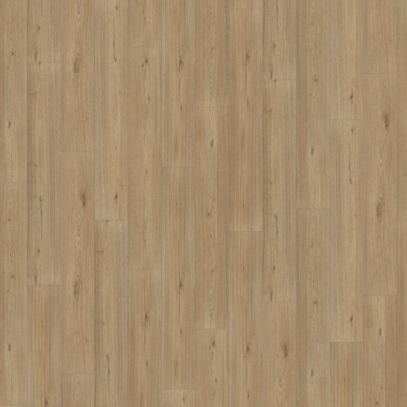 4912568bf755ea8ad404af3cefb73b6e