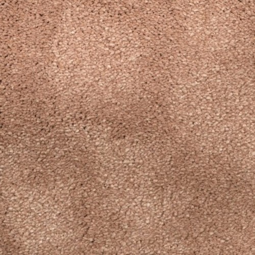Wykładzina dywanowa Van Besouw Allure 2607-220