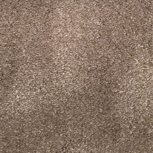 Wykładzina dywanowa Van Besouw Allure 2607-290