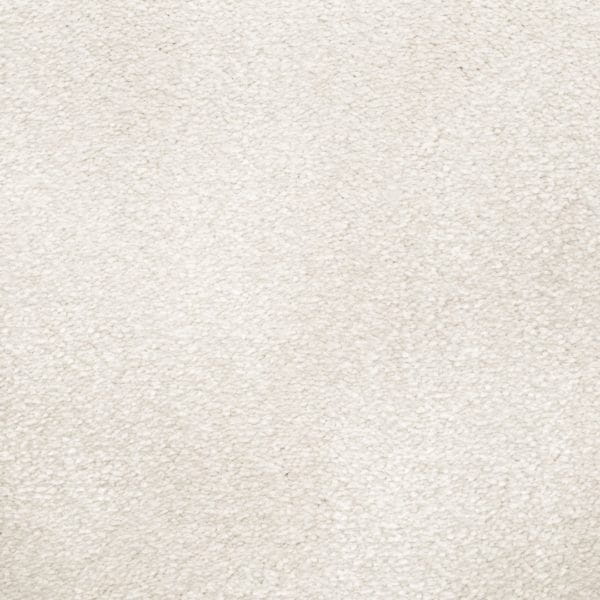 fe2388d9b27ee7dc13a159425d82d500