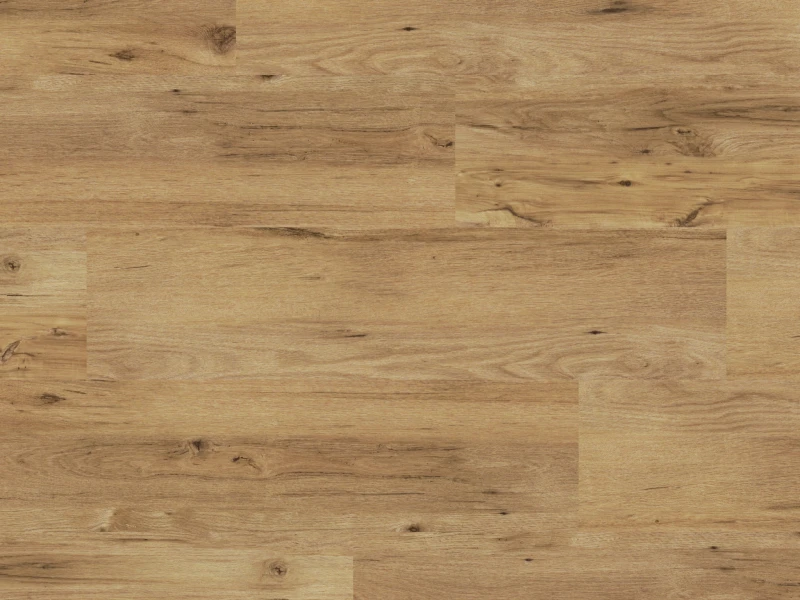 LLP113 Cambridge Overhead CM-min.jpg