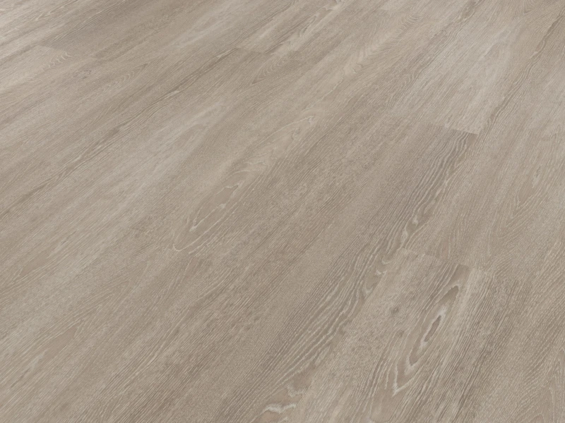 WP418 Pallida Angled CM.jpg