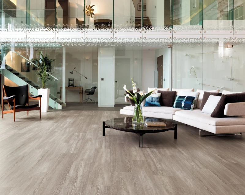 WP418 Pallida LS1_CM.jpg