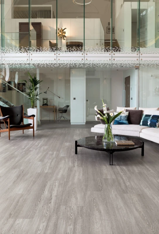 WP418 Pallida P1.jpg