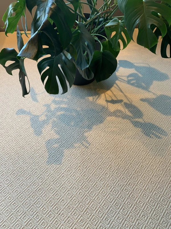 746f8042f81434df0dc40c3075046158