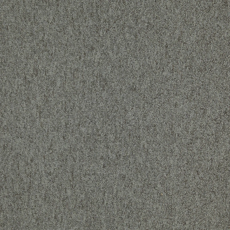 2594.png