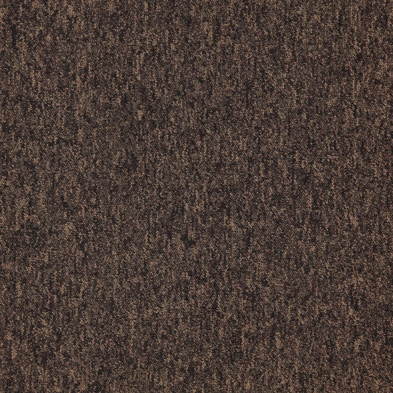 2593.png