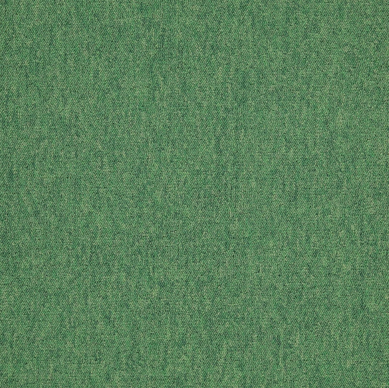 2541.png