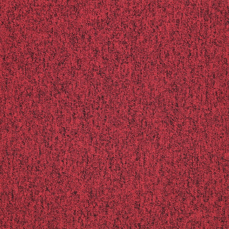 2520.jpg