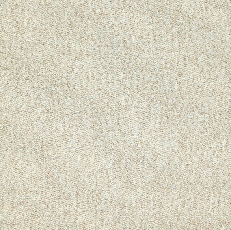 4470.jpg