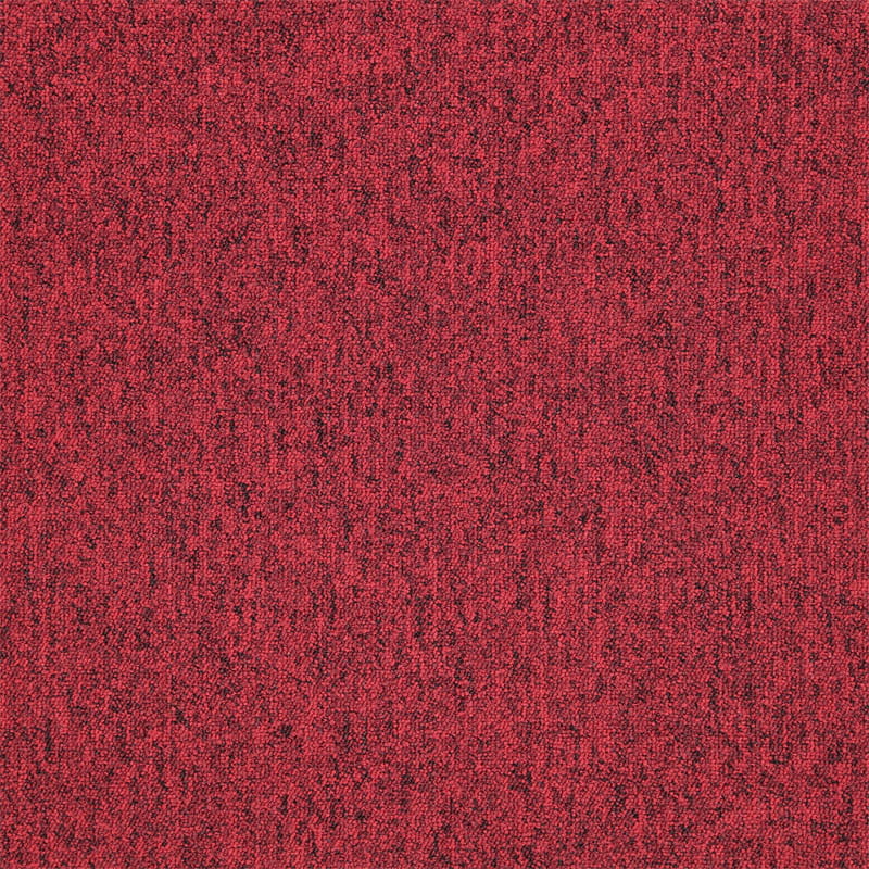 4420.jpg