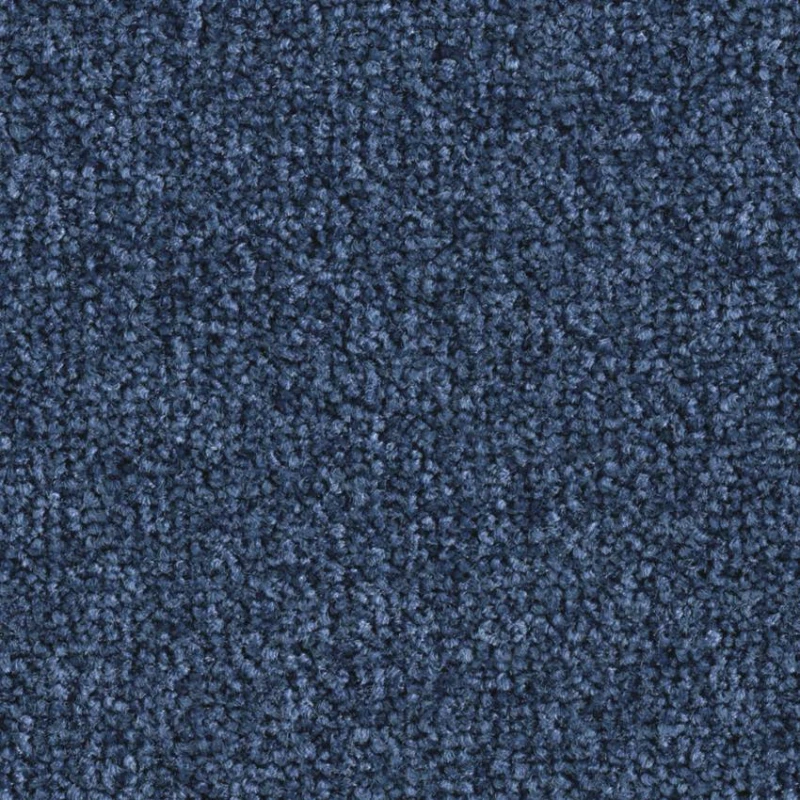 d176a20e1cb5f69a400513c145d81a29