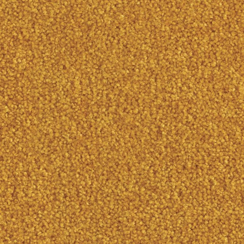 465f6d35ca1221fe4a1a79f99f1b03c0