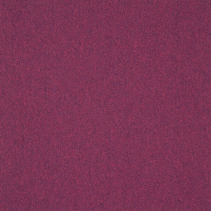6fa5999065cda2a35ad1dceee0d08a56