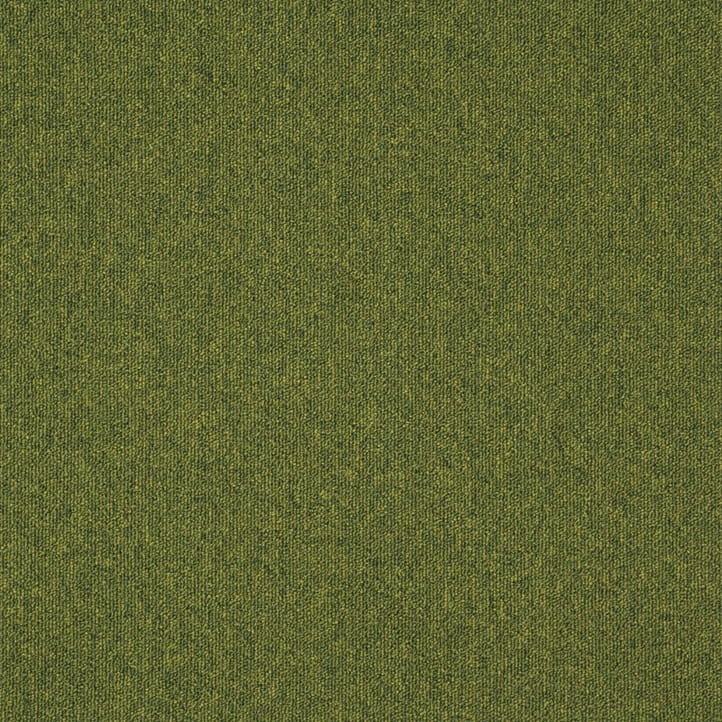 719068533f720b86b5a90fdfec8a77d0