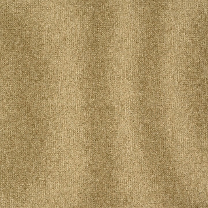 e23720c20d32cd3d01711f24eeae9a45