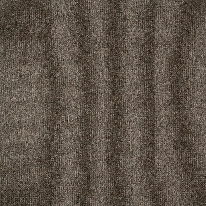 ac5596a8aa01373755c72ab08eea1ec9