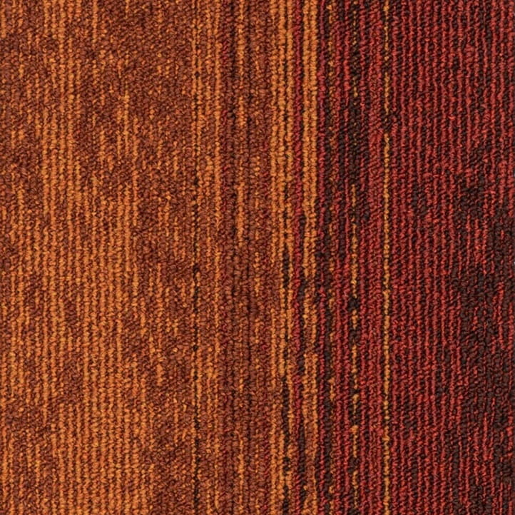 1fdf0104bfd1d038895d7ba3837f0801