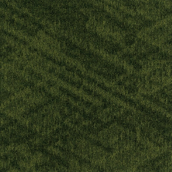 197fa0e46ab4294177d072c6e72e364b
