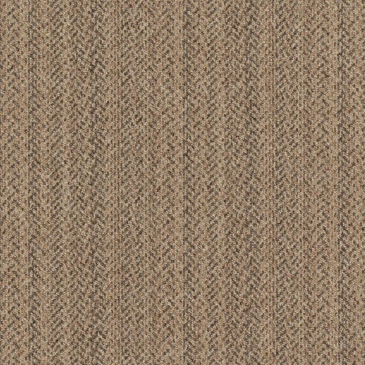 a24ca531e4d4de94a0594556ddd2b619