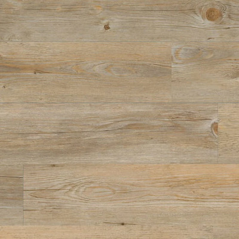 0381846f62c9ddb34a8854241a9da228