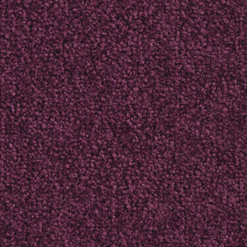 6c782e40e2ef03092861018d83497b01