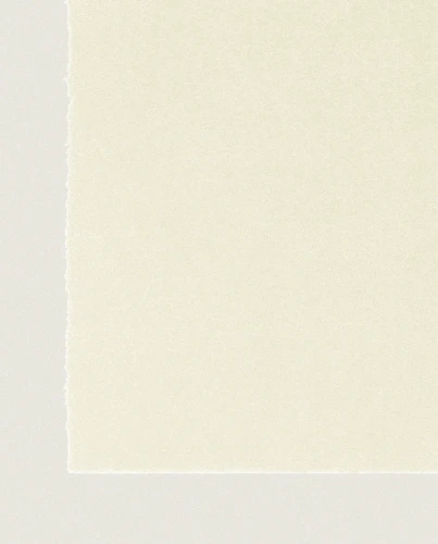 Wykładzina Rols Zenit+ 1