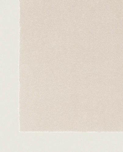 Wykładzina Rols Zenit+ 23