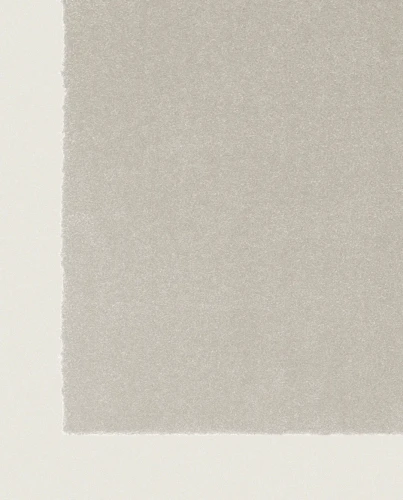 Wykładzina Rols Zenit+ 24